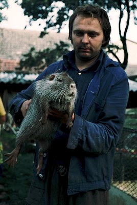 Man in a blue jacket holds a capybara, a large semi-aquatic rodent, in an outdoor setting. The capybara’s fur appears dense a...