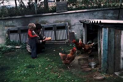 Two women in overalls tend to chickens in a rustic backyard coop, likely mid-20th century. One woman feeds grain while chicke...