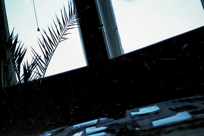 Silhouetted palm fronds cast sharp shadows on a vintage typewriter keyboard, suggesting a tropical or coastal setting. The co...