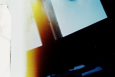 Vintage film strip with partial frame showing a palm frond and blurred geometric shapes. Likely 35mm slide film from the mid-...