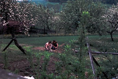 Two individuals seated on a wooden swing in a rural orchard, surrounded by lush greenery and mature trees. The swing is suspe...