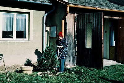 A child in a red knit cap and patterned jacket tends to a small potted plant beside a mid-20th-century residential building. ...