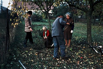 Family gathering in autumn garden, mid-20th century. Three adults and a child in a leaf-strewn yard, surrounded by trees. The...