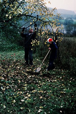Two individuals clear autumn leaves from a garden path, framed by a tree with arching branches. The adult wears a dark coat a...