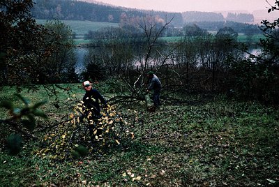 Two individuals clear fallen branches from a rural landscape, likely post-storm. The scene features dense foliage, a serene l...
