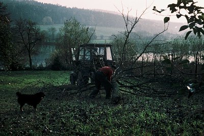 Vintage tractor clearing fallen branches in rural landscape, with a person and dog in foreground. Mid-20th century farming sc...