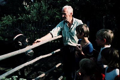 A man in a light-colored shirt guides a child’s hand toward a cow’s nose through a wooden barrier, with two other children ob...