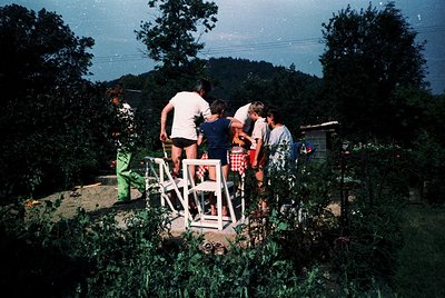 Group of six people in 1970s summer attire (shorts, checkered shirts) gathered around a white metal bench in a lush, green ou...