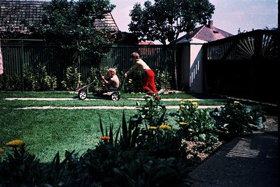 Vintage backyard scene with two children riding a lawnmower on a grassy path. Bright yellow flowers and shrubs frame the fore...