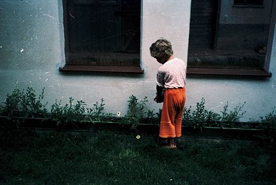 Child in mid-20th-century clothing (white blouse, orange pants) kneels in a small garden patch beside a weathered concrete wa...