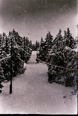 Vintage black-and-white photo of a snow-covered forest path flanked by dense evergreen trees, leading into the distance. Over...