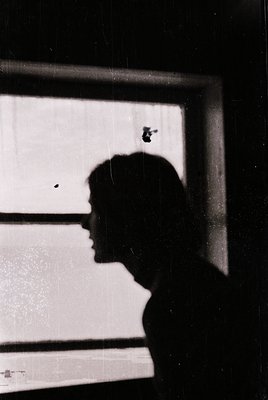 Silhouette of a person gazing through a window with horizontal blinds, likely indoors. The scene suggests introspection or ob...