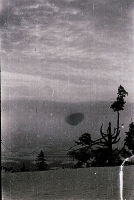 Vintage black-and-white coastal landscape with sparse pine trees and distant horizon. Dramatic cloud formations and mist over...