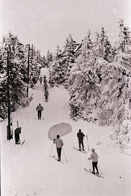 Mid-20th century group skiing on a snow-covered alpine path, surrounded by dense coniferous forest. Classic 1950s-60s ski att...