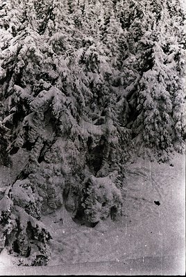 Aerial black-and-white photo of rugged, eroded rocky terrain with jagged peaks and deep gullies, likely volcanic or sedimenta...