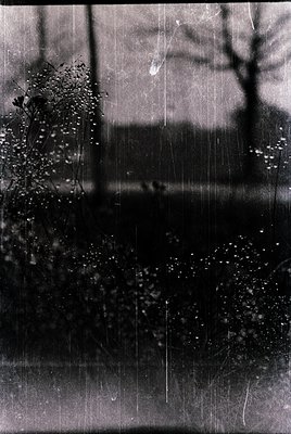 Vintage monochrome shot of rain-streaked glass, revealing blurred greenery and distant trees. Light filters through droplets,...