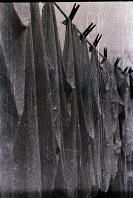 Vintage black-and-white photo of wet, draped curtains or fabric sheets secured with wooden clothespins. The texture suggests ...