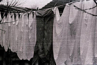 Black-and-white photo of heavy, grid-patterned fabric hung on outdoor lines, likely for drying. The coarse weave suggests ind...