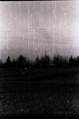 Vintage black-and-white photo showing heavy vertical scratches and light damage. Dense tree line frames a misty, rain-soaked ...