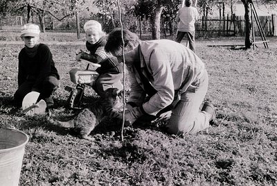 Vintage black-and-white photo of three adults and a child planting a sapling in a grassy area, likely a community or school p...