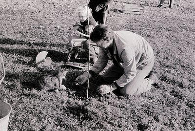Black-and-white photo of a man planting a sapling in a grassy field, surrounded by scattered logs and a child observing. Mid-...