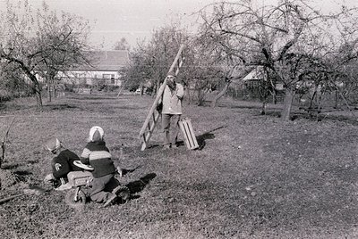 Black-and-white rural scene featuring two adults tending to a tree in a grassy orchard. Man standing holds a ladder; woman kn...