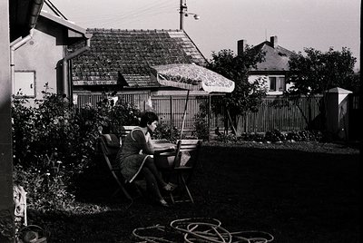 A woman sits on a wicker chair in a mid-century backyard, typing on a manual typewriter. Surrounding her are lush greenery, a...