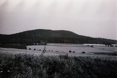 Mid-20th century black-and-white landscape of rolling farmland with dense forest ridge. Open fields dominate foreground, bord...