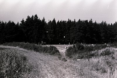 Black-and-white rural landscape featuring a dirt path bordered by overgrown vegetation leading to a dense forest. Distant fig...