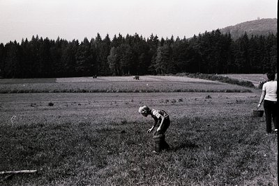 Black-and-white rural scene featuring a child bending to pick grass or flowers in an open field. Dense forest and rolling hil...