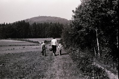 Three figures—adult and two children—walk along a rural path beside a lush meadow, framed by dense forest and a distant hillt...