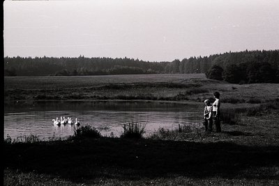 Black-and-white lakeside scene with two adults standing near reeds, observing a flock of ducks swimming. Dense forest line an...