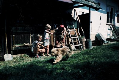 Vintage rural scene: three children interact with a large dog near a chicken coop and wooden shed. Mid-20th century clothing ...
