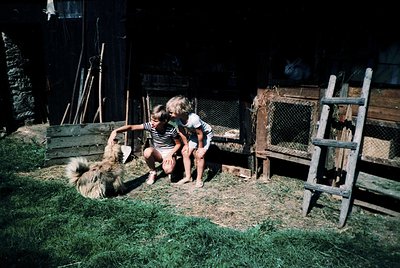 Two children interact with a sheep in a rustic rural setting, likely mid-20th century. Wooden fencing, a ladder, and a cart f...