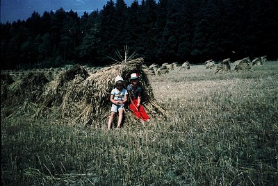 Two children pose behind a haystack in a rural field, surrounded by dense forest. Mid-20th century farming attire and vintage...