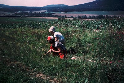Two children gather wildflowers in a lush meadow, surrounded by tall grasses and red blooms. Rolling hills and a distant lake...