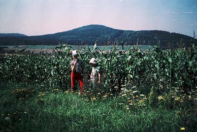 Two figures in vintage summer attire stand in a cornfield, surrounded by wildflowers. Tall corn stalks frame them, with a lak...