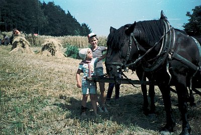 Vintage rural scene featuring a man and child posing with a harnessed horse in a hay field. The man wears a striped shirt and...