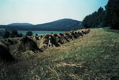 Mid-20th century rural scene: haystacks lined along a grassy hillside, with a lone figure in overalls tending to the bundles....
