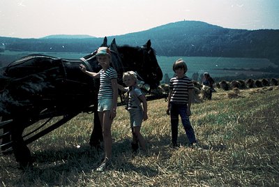 Three children pose with a horse-drawn cart in a rural, hilly landscape, likely mid-20th century. The girl in a striped shirt...