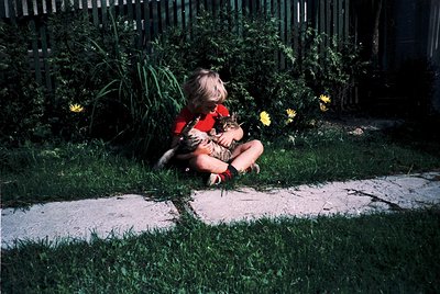 A young child in a red shirt tenderly holds a small tabby cat in a sunlit backyard. Vibrant yellow flowers and lush greenery ...