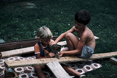 Two children play with a cat on a wooden raft in a grassy area, likely a park or lakeside. The boy wears patterned shorts and...