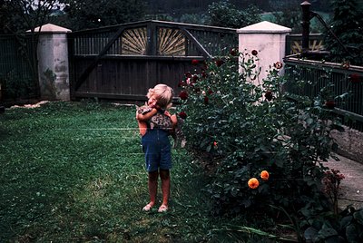 A young child in denim overalls stands in a lush garden, reaching toward vibrant red roses. A vintage metal bridge with sunbu...