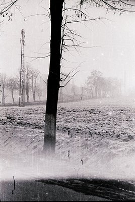 Winter landscape featuring a lone, leafless tree in the foreground with snow-covered ground. Distant power lines and foggy tr...