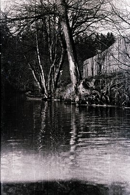 Black-and-white reflection shot of a serene pond bordered by leafless trees and rocky shore, likely winter or early spring. S...