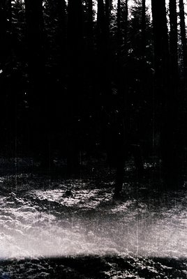 High-contrast monochrome forest scene with misty river or waterfall under dense pine canopy. Dramatic play of light and shado...