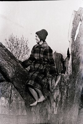 Vintage black-and-white portrait of a child perched on a tree branch, wearing a knit beanie and plaid shirt. Mid-20th century...