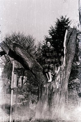 Vintage black-and-white photo of a child sliding down a tree trunk in a park-like setting, mid-20th century. Plaid dress and ...