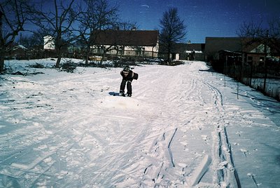 Two figures cross-country ski across a snow-covered residential area, surrounded by bare trees and mid-century brick houses. ...