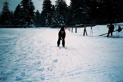 A lone cross-country skier navigates groomed trails in a snowy forest, wearing vintage-style gear. Snow-covered pine trees fr...